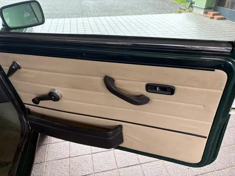 Rover Mini