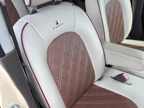 Suzuki Alto Lapin Chocolat