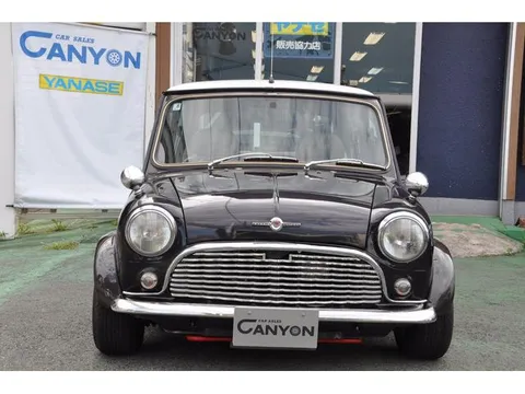 Rover Mini