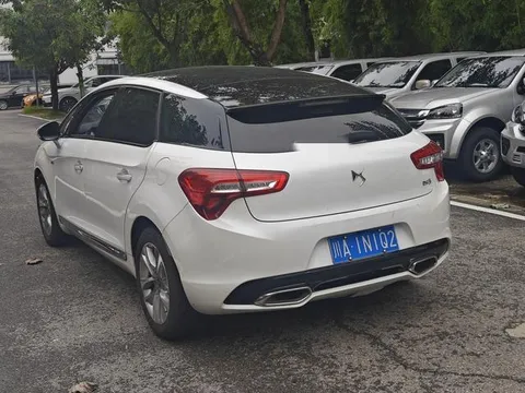 DS DS