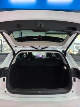 Wey VV6