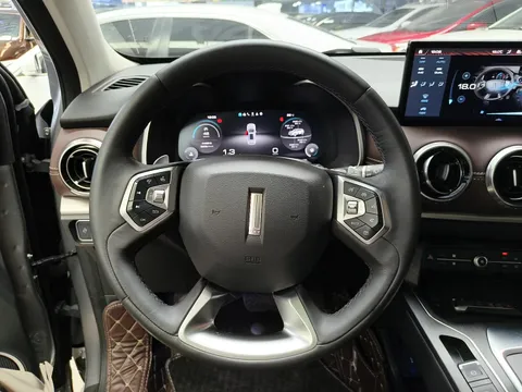 Wey VV6