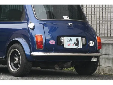 Rover Mini