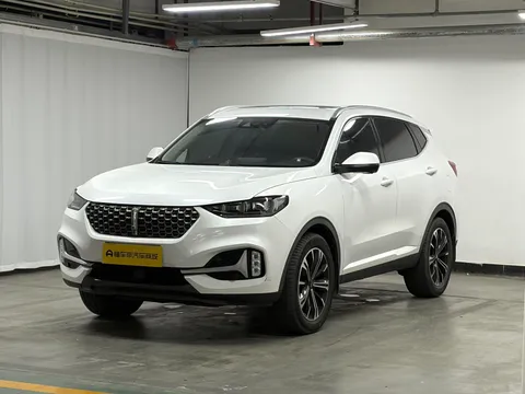 Wey VV6