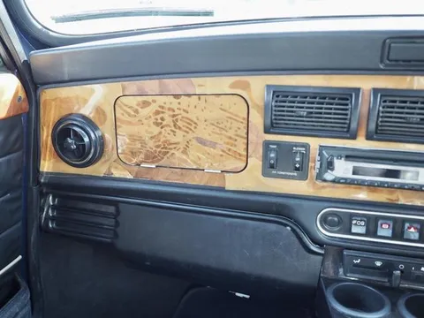 Rover Mini