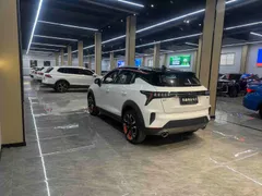 Lynk & Co 06