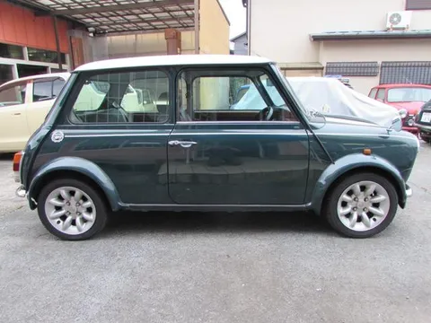 Rover Mini