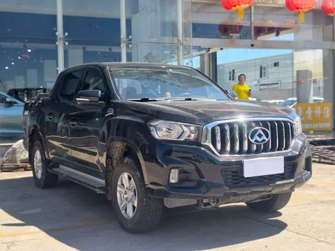 Maxus T60