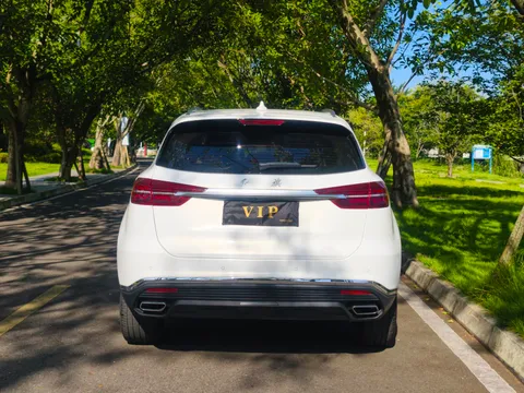 Hongqi HS5