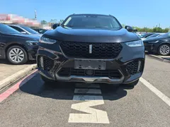 Wey VV7