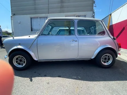 Rover Mini