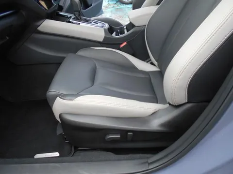 Subaru Levorg Layback