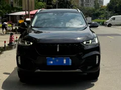 Wey VV6