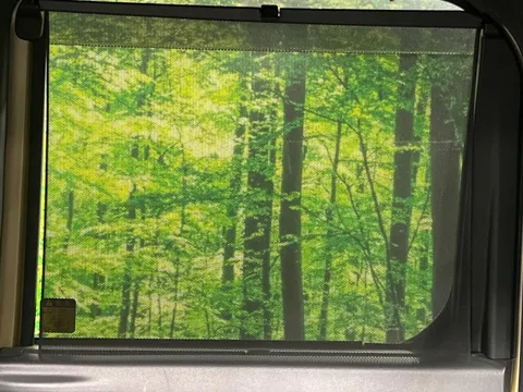 Toyota Pixis Mega