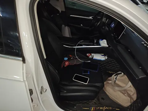 Geely Preface (Xingrui)