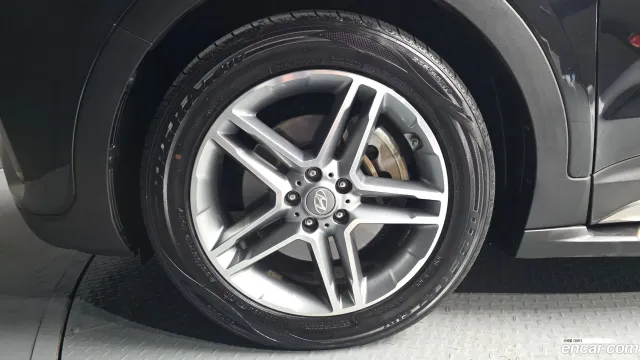 Hyundai Grand Santa Fe (Maxcruz)