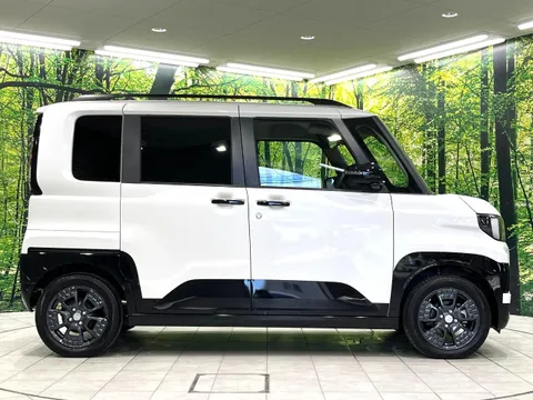 Mitsubishi Delica Mini