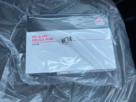 Mitsubishi Delica Mini
