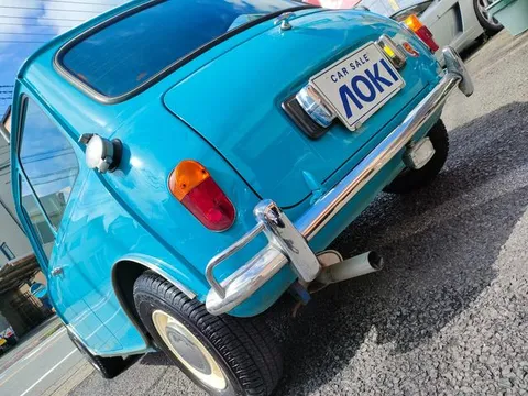 Rover Mini