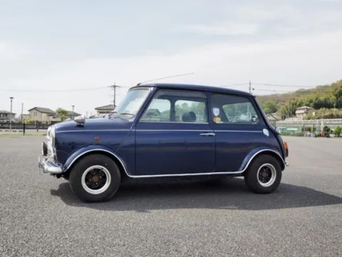 Rover Mini