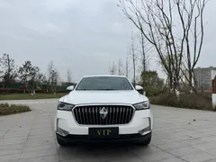 Borgward BX6
