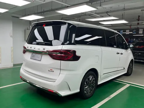 Maxus G20