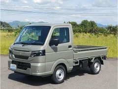 Suzuki Carry Track