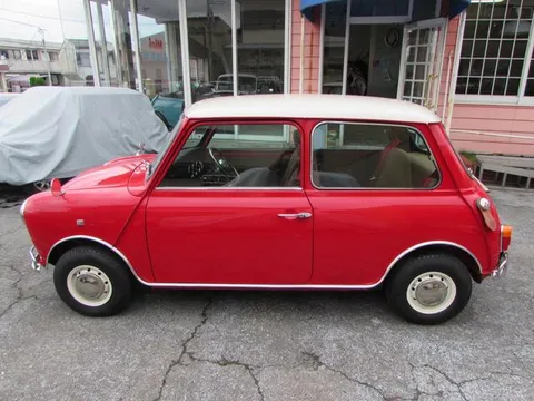Rover Mini