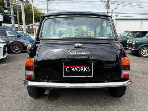 Rover Mini