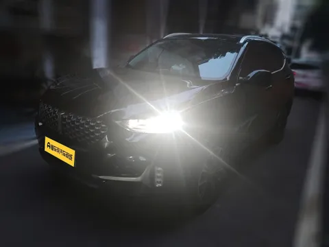 Wey VV6
