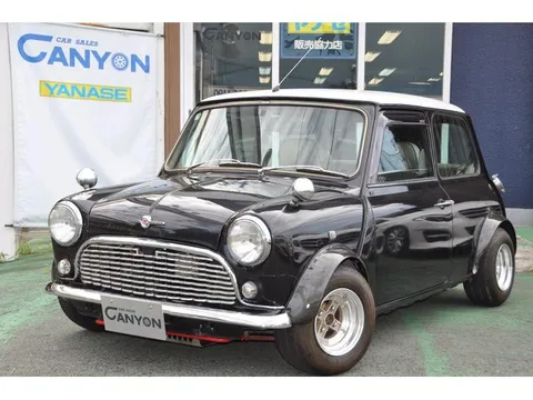 Rover Mini