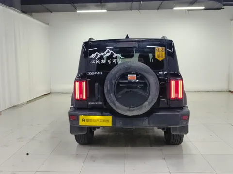 Tank 300