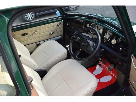 Rover Mini