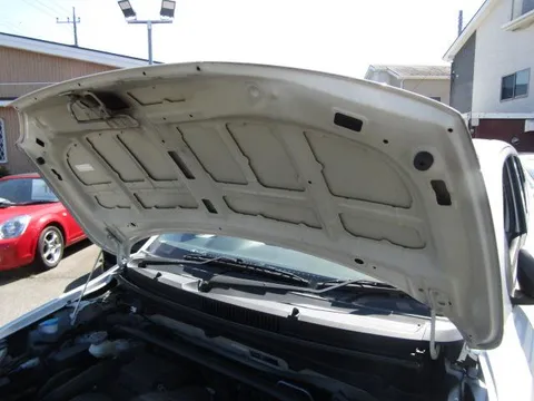 Suzuki Alto Works