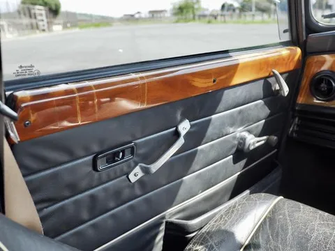 Rover Mini