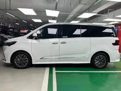 Maxus G20