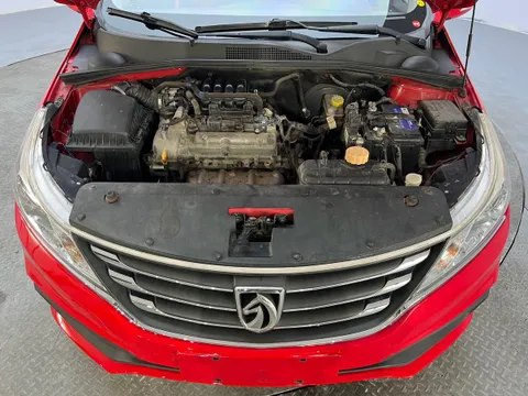 Baojun 310