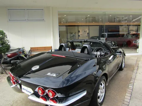 Mitsuoka Rock Star