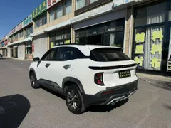 Baojun RS-3
