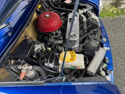 Rover Mini
