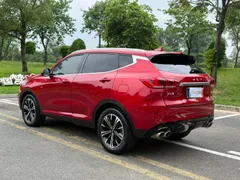 Wey VV6