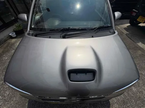 Suzuki Alto Works