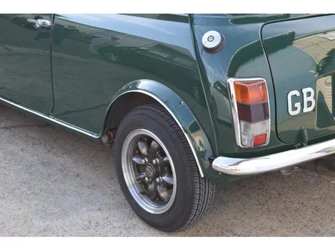 Rover Mini