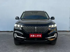 Wey VV6
