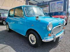 Rover Mini