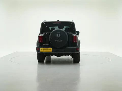 Tank 300
