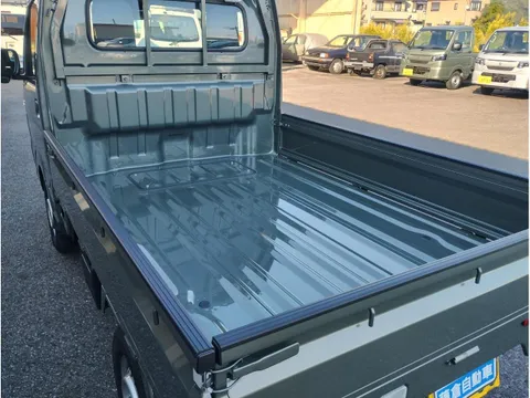Suzuki Carry Track