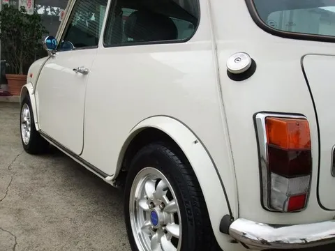 Rover Mini