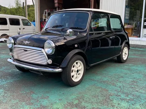 Rover Mini