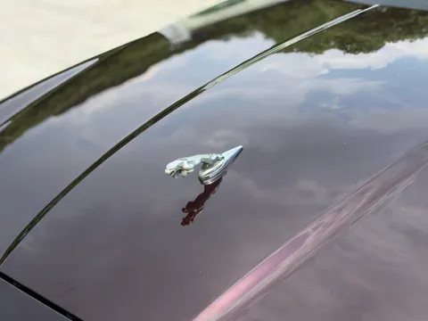 Jaguar XFL